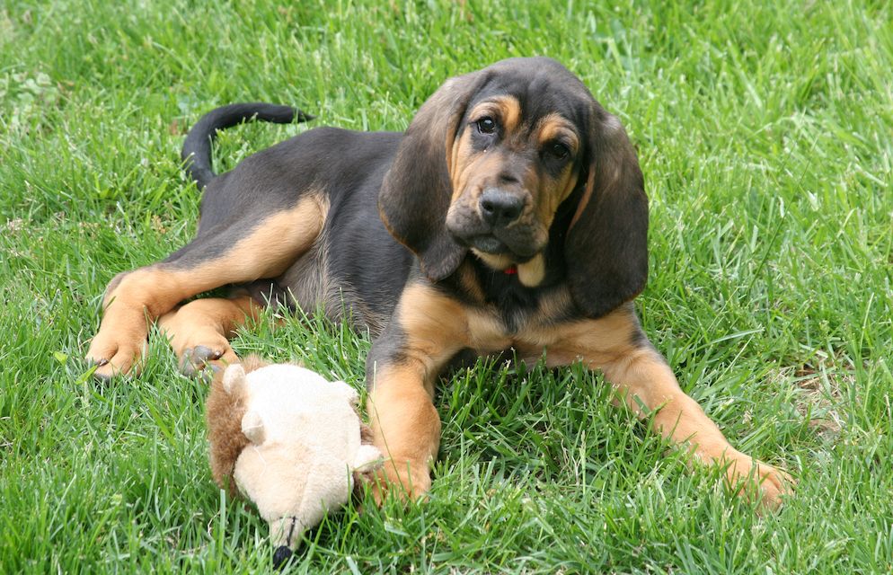 Editorial: February 9, 2024